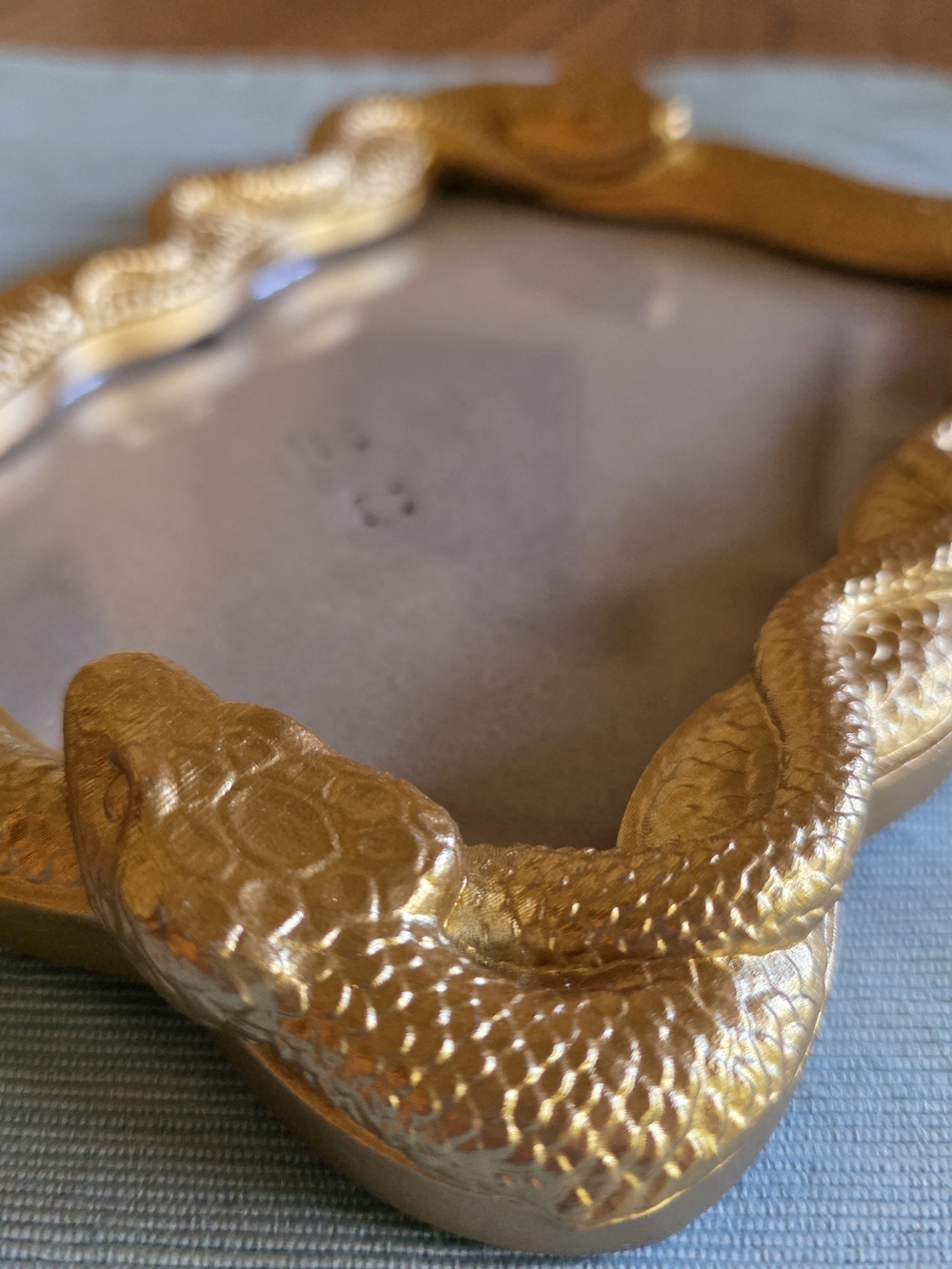 GOLD SNAKE Frame 5x7 Photo - Picture 7 of 16